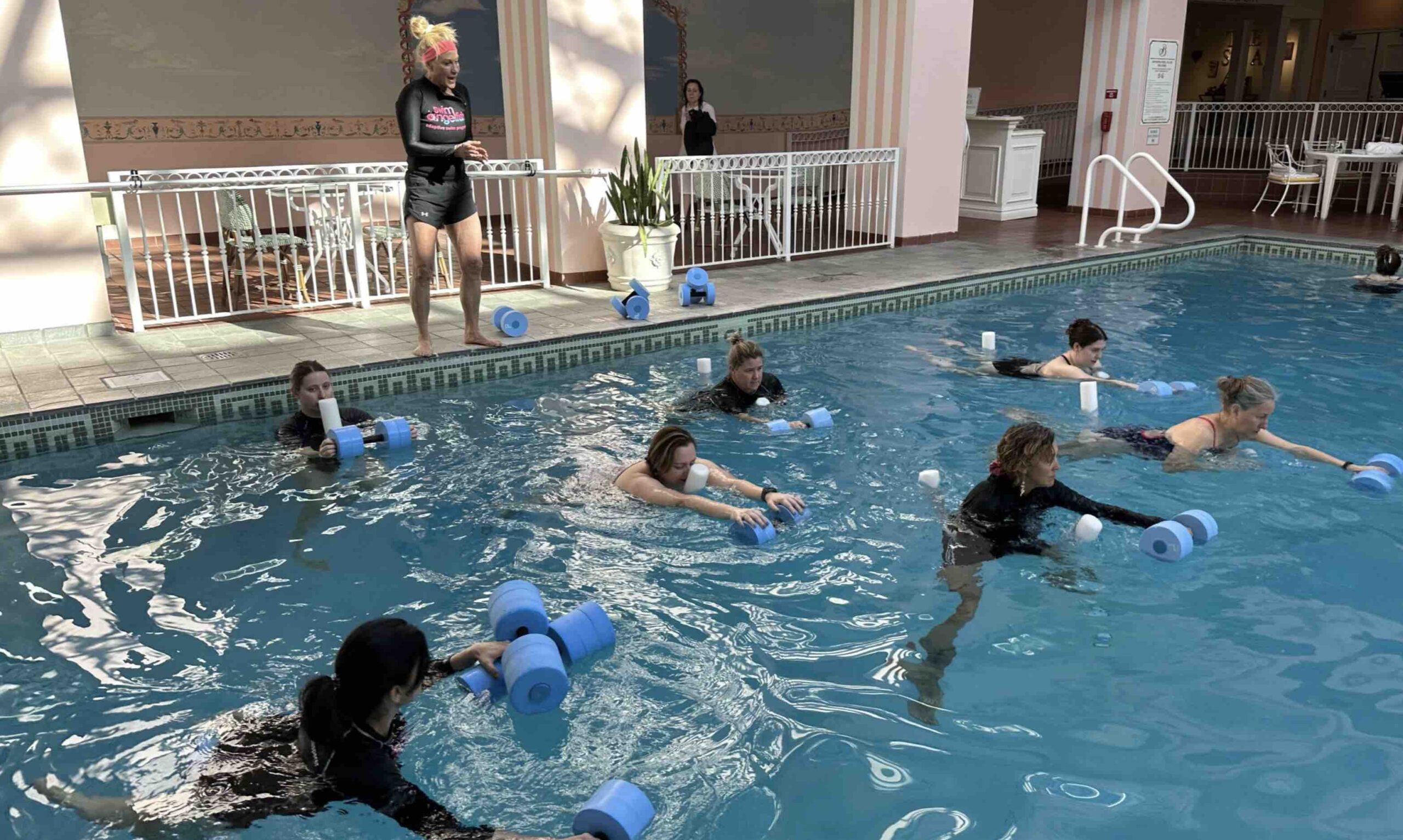 In-Water Workshops Swim Angelfish