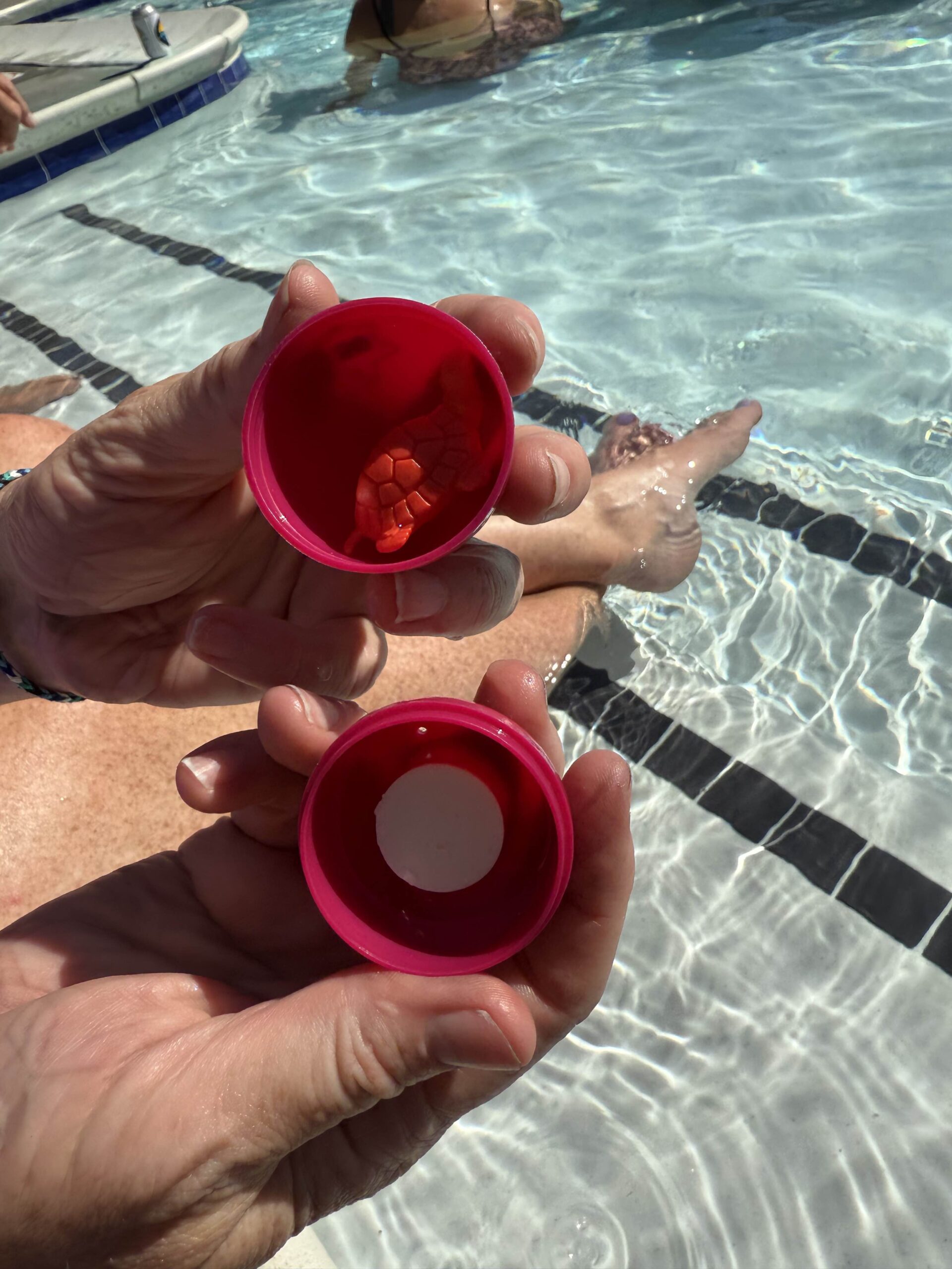 Swim School Secrets- 13 Experts Share Top Teaching Methods – Swim Angelfish1